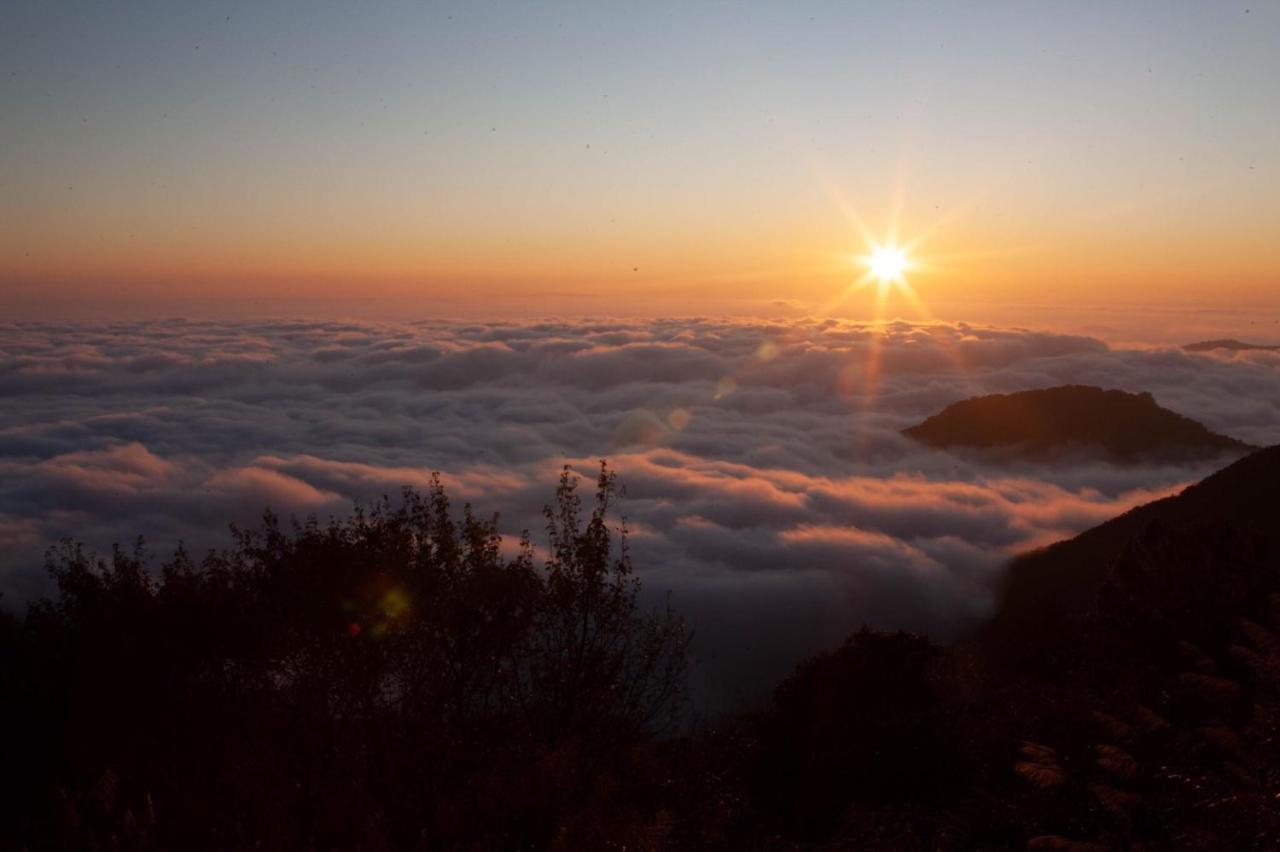 Alishan Shermuh Tourist Hotel Жонгженг Екстериор снимка
